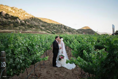 Vineyard Solar Fortún