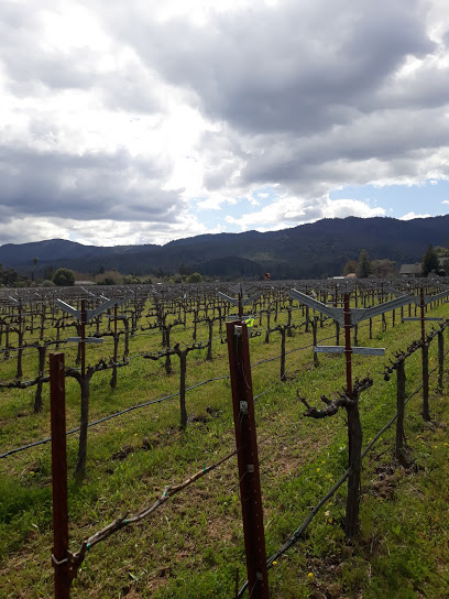 Salvestrin Winery