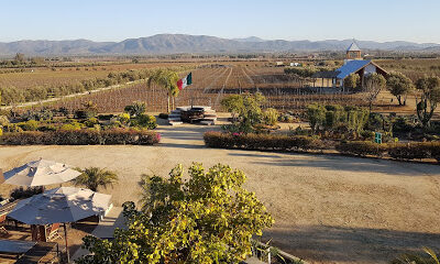 Finca La Carrodilla