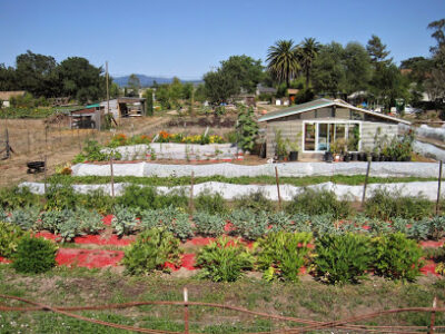 Twin Palms Ranch