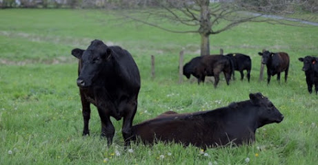 Double Spring Farm - Grass Fed Beef