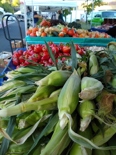 Shirley's Farmers Markets
