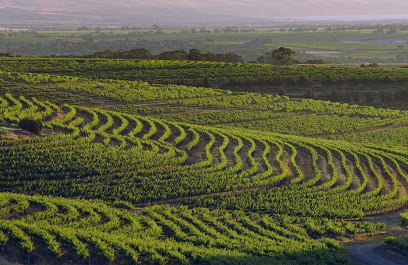 Vine Guide