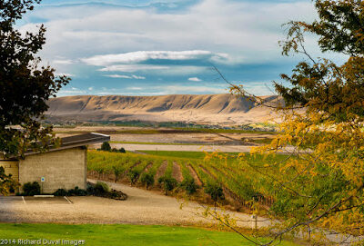 Hightower Cellars