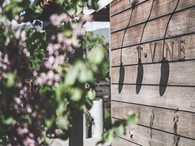 T-Vine Winery