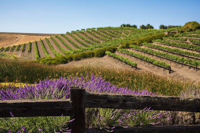 Leal Vineyards and Winery