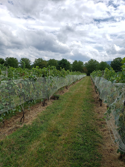 Caihailian Vineyard