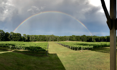 Enoree River Vineyards and Winery