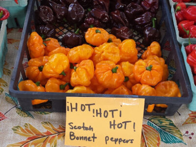 Orleans Farmers' Market