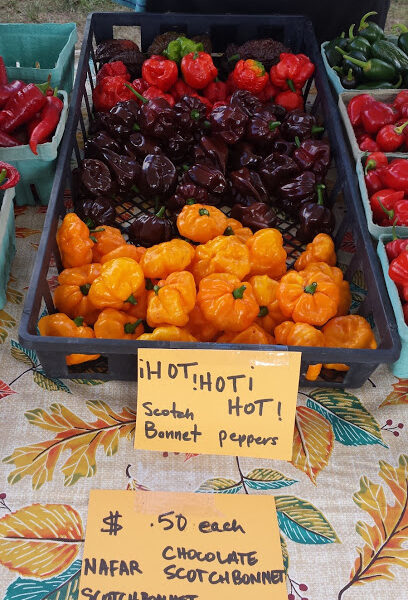 Orleans Farmers' Market