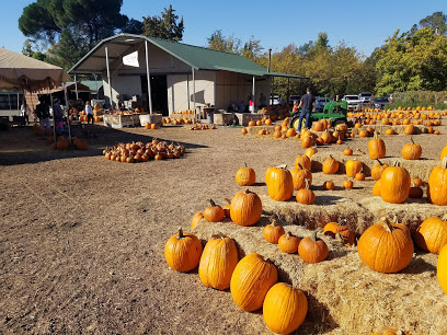 Zittel Farms