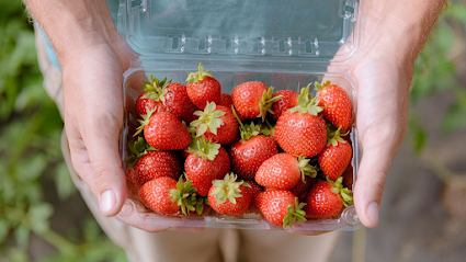 Fertile Ground Farms