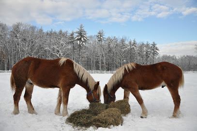 O'Glesain Farm