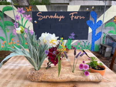 Sarvodaya Farms and Nursery