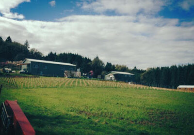 Ransom Wine Co. & Distillery Tasting Room