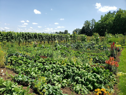 Hanson Vineyards