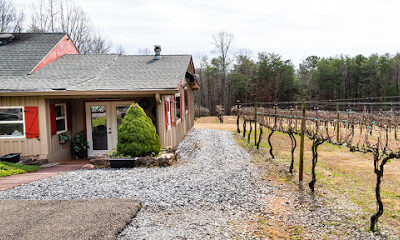 Sharp Mountain Vineyards