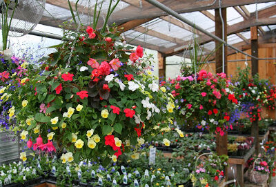 Five Mile Farm & Greenhouse