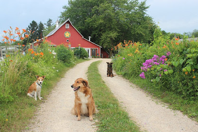 Squash Blossom Farm