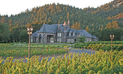 Ledson Winery & Vineyards