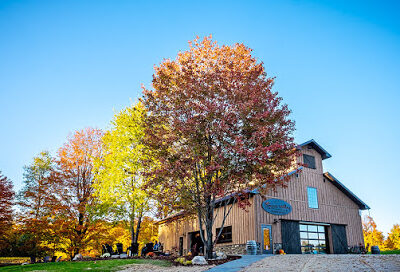 Boyne Valley Vineyards