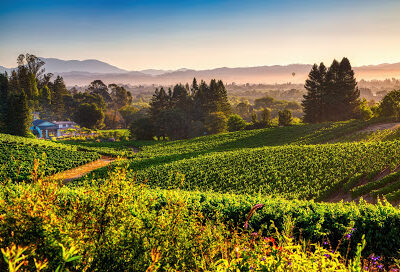 Lynmar Estate Winery