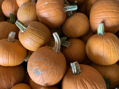Seiple Farms