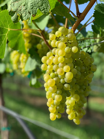 Kuhlman Cellars