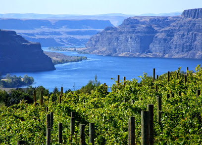 White Heron Cellars