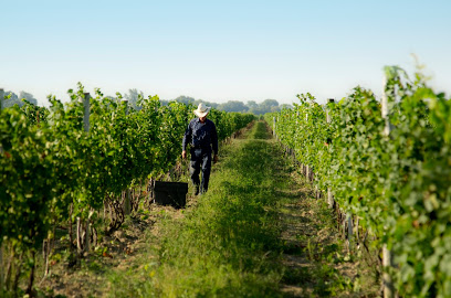 Colio Estate Winery