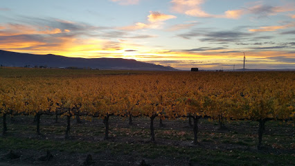 Portrait Cellars