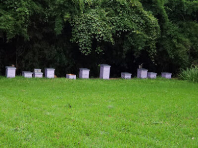 Muldrow Bee Farm