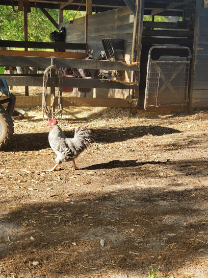 Little Pond Farm