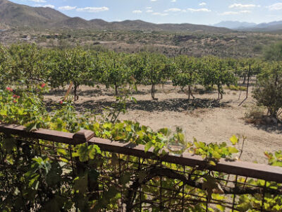 Charron Vineyards