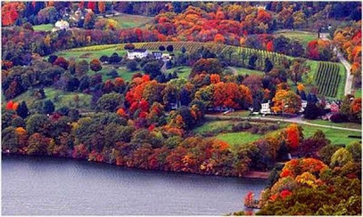 Hopkins Vineyard