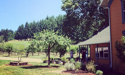 Remy Wines Tasting Room