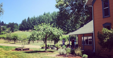 Remy Wines Tasting Room