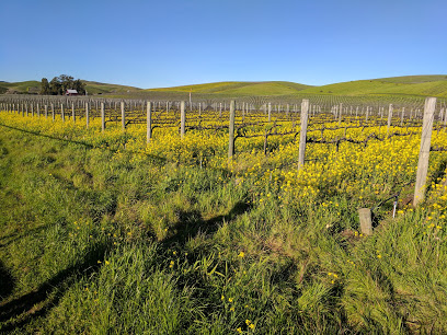 Mahoney Family Vineyards