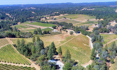 Medeiros Family Wines