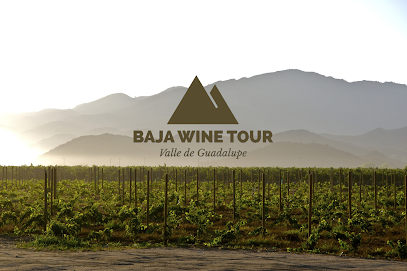 Baja Wine Tour
