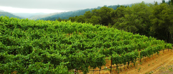 Black Ridge Vineyards