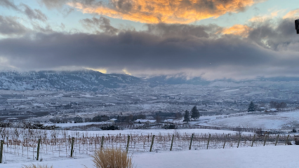 Bianchi Vineyards