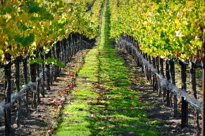 MJA Vineyards -- Westside Tasting Room & Cellar