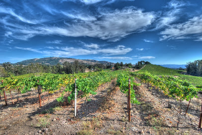 Black Knight Vineyards