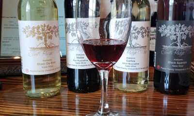 South Ridge Wine.