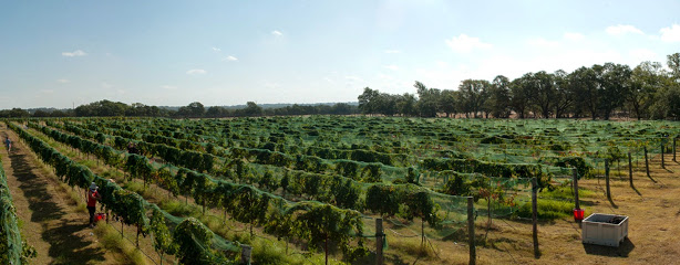 Solaro Estate Winery