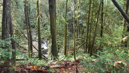 Ueland Tree Farm