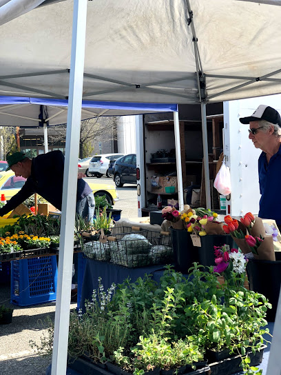 Chapel Hill Farmers' Market
