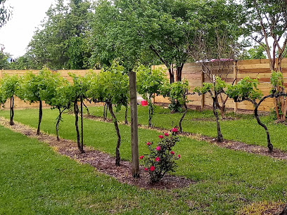 Yepez Vineyard