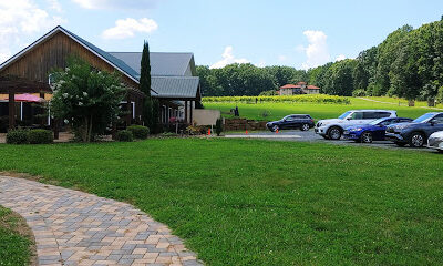 Morgan Ridge Vineyards